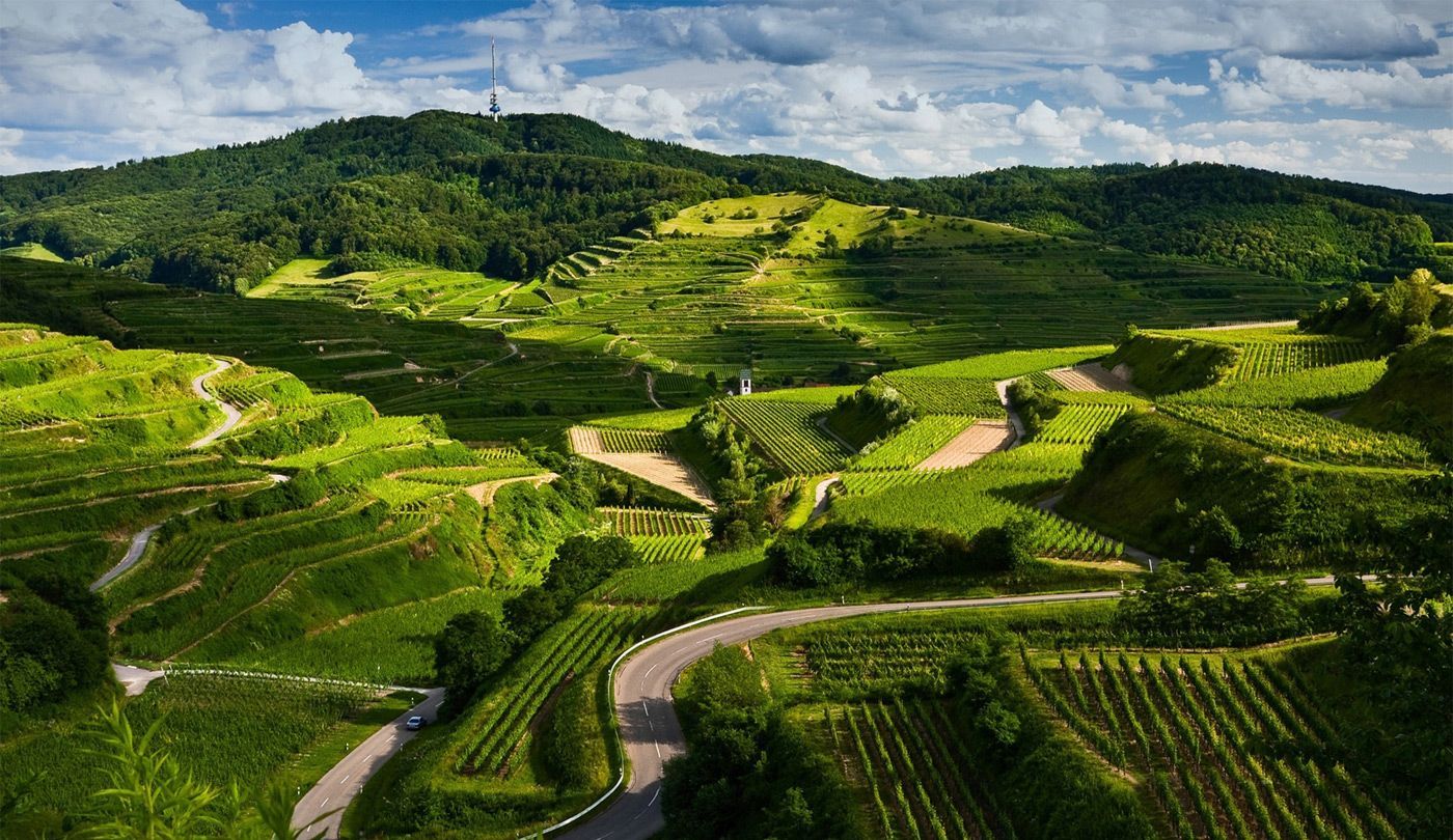 Кластеры – новый двигатель для развития регионов Кластеры – новый двигатель для развития регионов