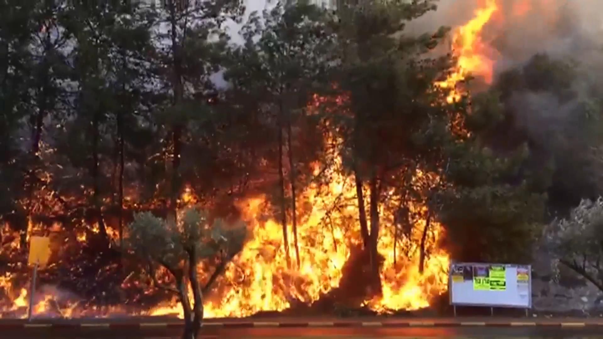 Потужні пожежі охопили понад 10 міст в Ізраїлі: з'явилися фото