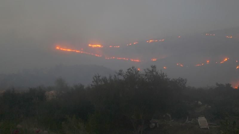 Как украинцы помогают Израилю побороть стихийное бедствие: появилось видео Как украинцы помогают Израилю побороть стихийное бедствие: появилось видео