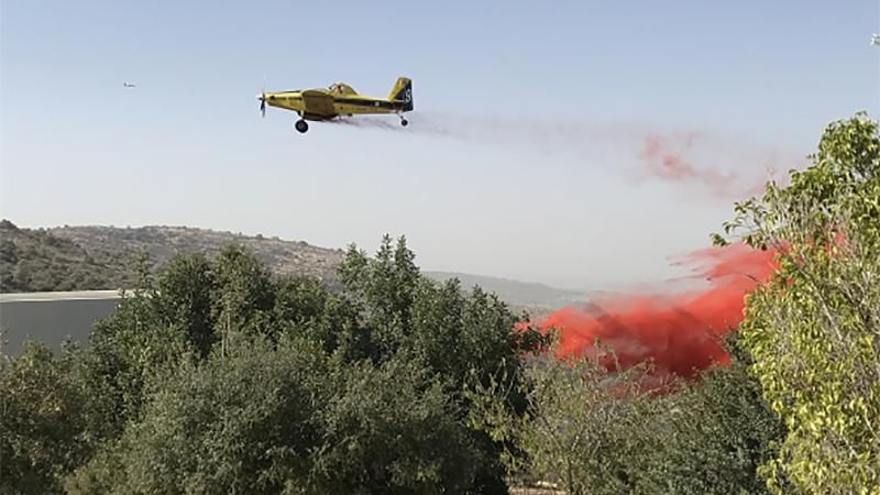 Масштабні пожежі в Ізраїлі: рятувальники повідомили радісну звістку