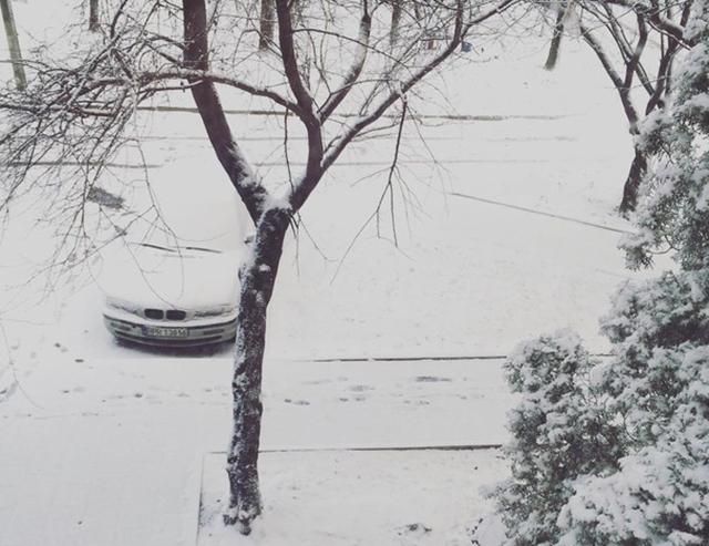 Львів завіяло снігом: дивовижні фото та відео Львів завіяло снігом: дивовижні фото та відео