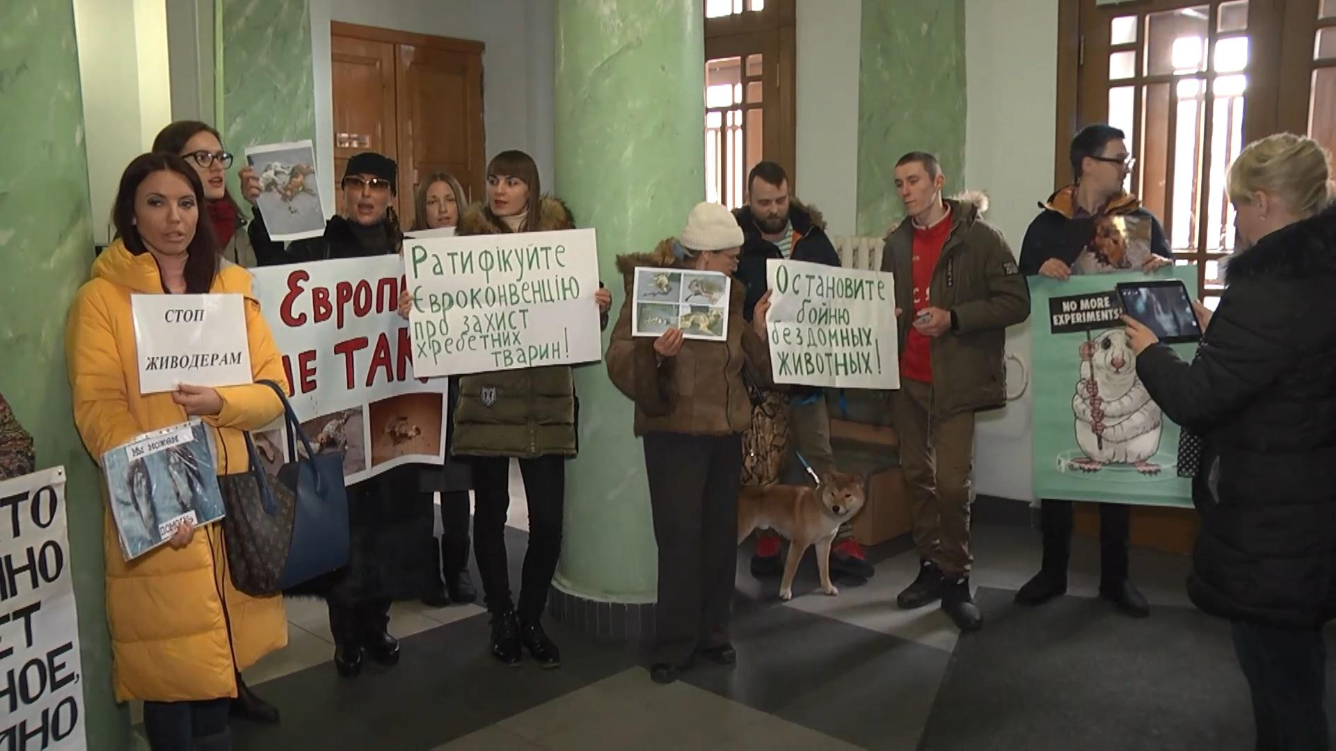 Активисты хотят, чтобы в Минобразования защитили животных от дог-хантеров