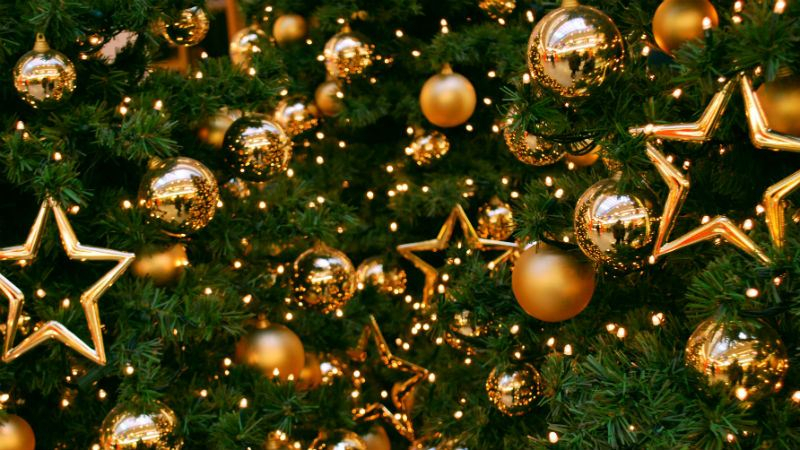 Какой будет главная новогодняя елка страны: появились детали