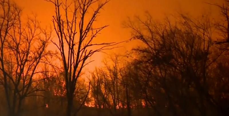 Крупные лесные пожары охватили американский штат Теннесси