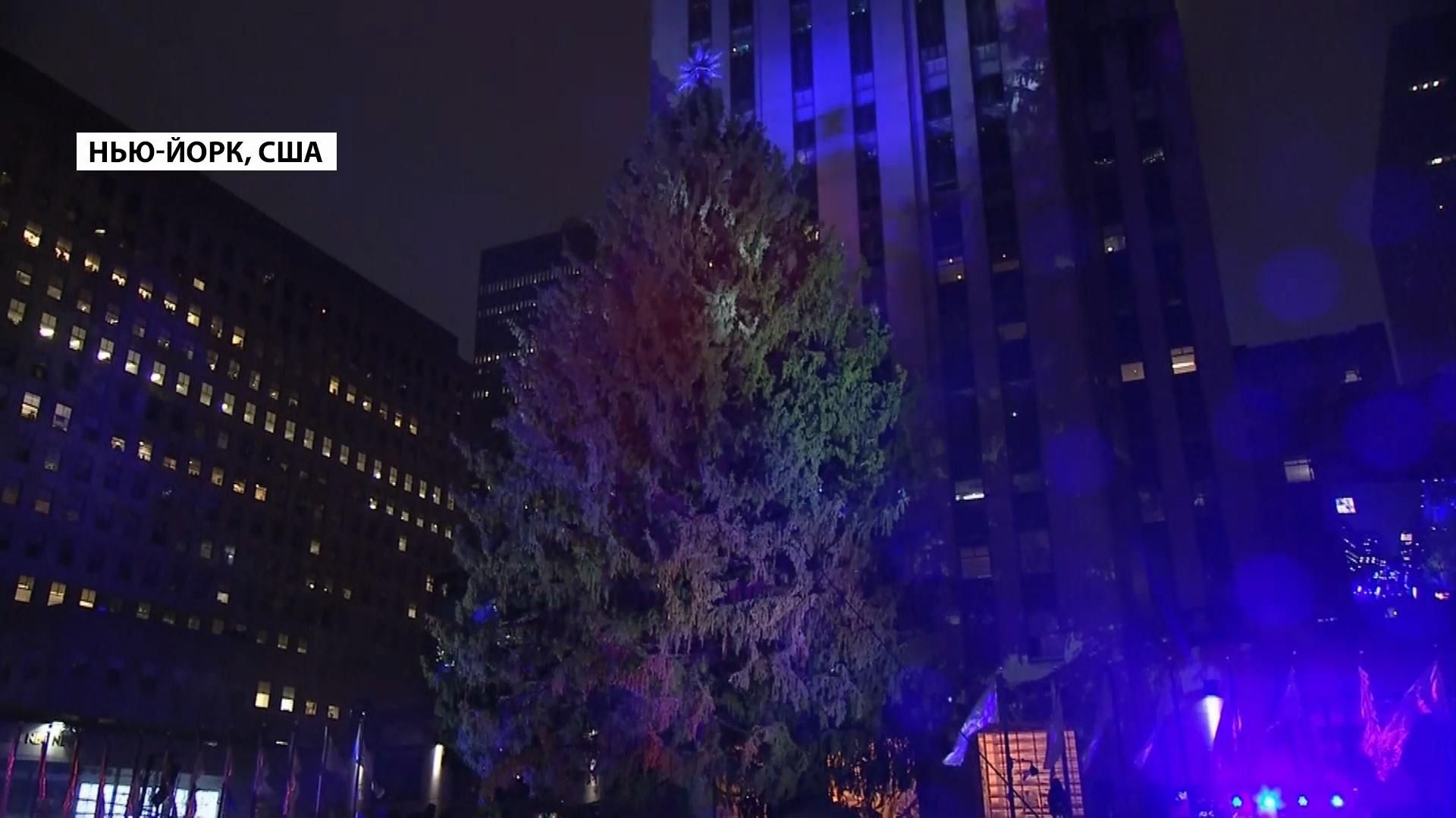 Головна ялинка США засяяла у Нью-Йорку: дивіться відео Головна ялинка США засяяла у Нью-Йорку: дивіться відео