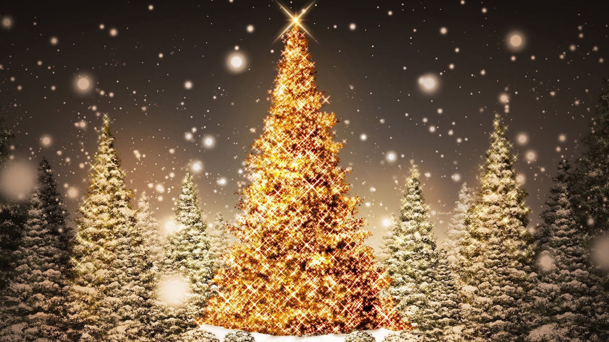 Як обирали головну ялинку країни: дивовижні "пригоди" лісової красуні Як обирали головну ялинку країни: дивовижні "пригоди" лісової красуні