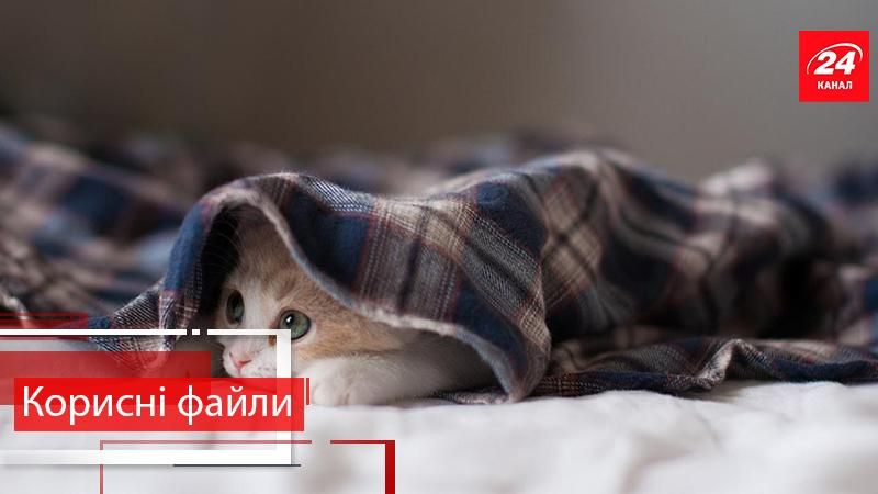 Корисні файли. Краще. Що допоможе зберегти тепло в оселі взимку Корисні файли. Краще. Що допоможе зберегти тепло в оселі взимку