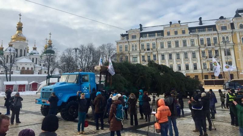 Свято наближається. Головну новорічну ялинку країни привезли в Київ