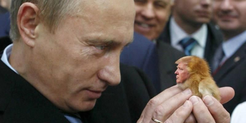 Сподіваємося, вони повіддавлюють один одному хвости, – дипломат про Трампа і Путіна