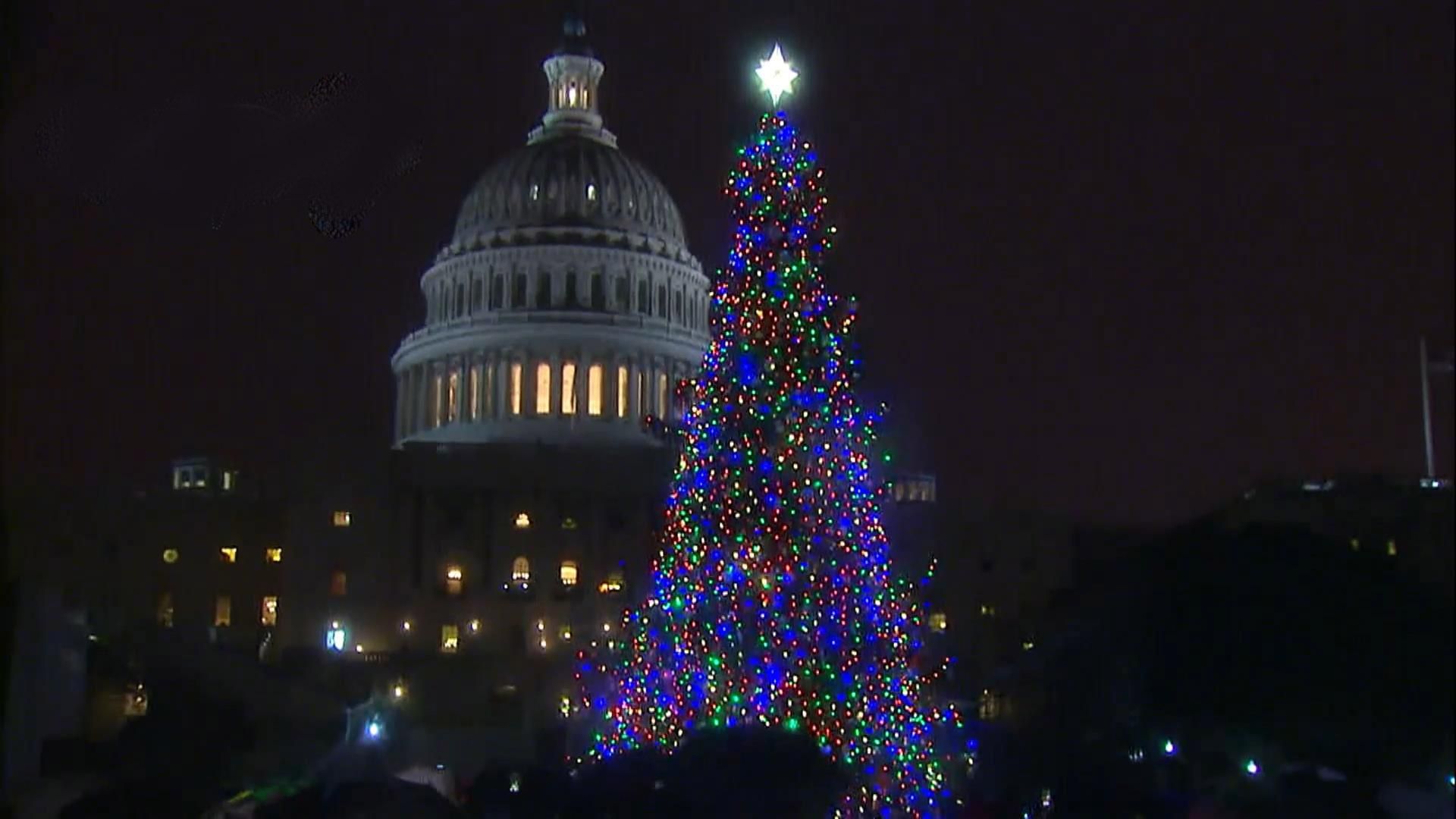 Зажгли елку у Конгресса США: появилось видео Зажгли елку у Конгресса США: появилось видео