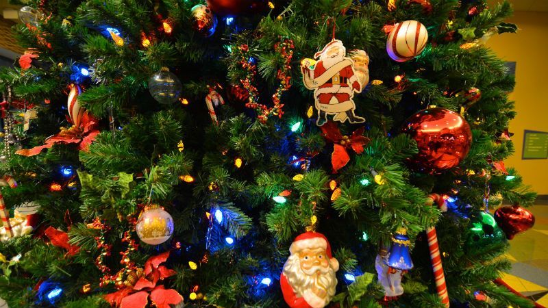 Дешево і екологічно. Українцям пропонують новорічні ялинки напрокат Дешево і екологічно. Українцям пропонують новорічні ялинки напрокат