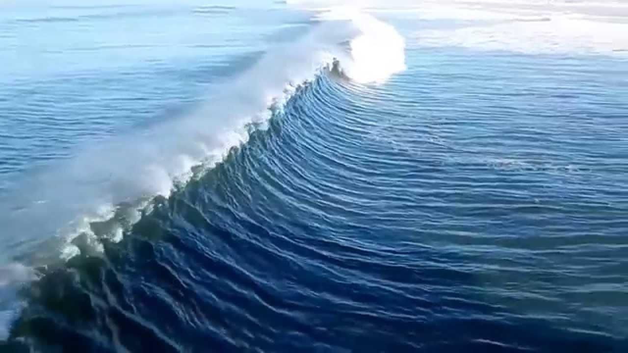 Землетрясение в Тихом океане: цунами может накрыть территорию США Землетрясение в Тихом океане: цунами может накрыть территорию США