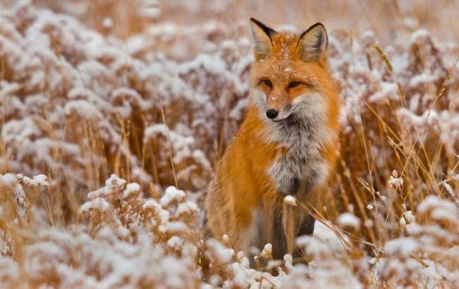 На Украину снова надвигаются сложные погодные условия На Украину снова надвигаются сложные погодные условия