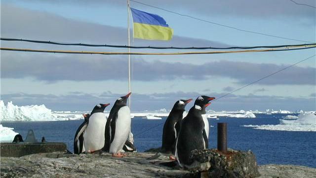 Робота мрії: станції Вернадського в Антарктиді потрібні спеціалісти