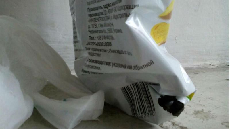 Львовяне нашли в чипсах мертвую мышь Львовяне нашли в чипсах мертвую мышь