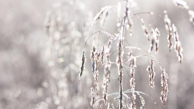 Синоптик предупредила о серьезном морозе в Украине Синоптик предупредила о серьезном морозе в Украине