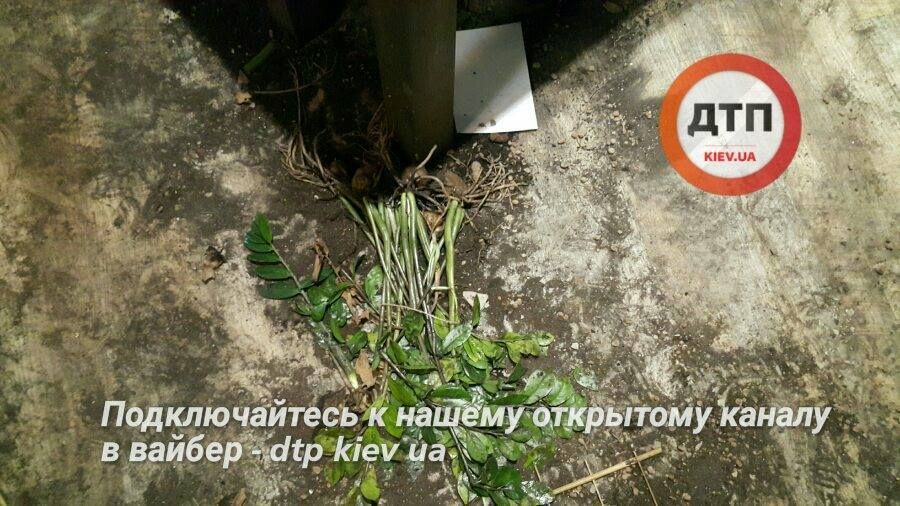 П’яні чоловіки побились у київському ресторані та розтрощили його П’яні чоловіки побились у київському ресторані та розтрощили його