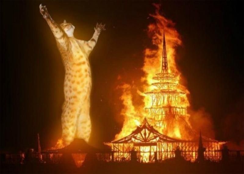 Пьяный житель Красноярска поджег церковь из-за отказа впустить его на службу
Пьяный житель Красноярска поджег церковь из-за отказа впустить его на службу