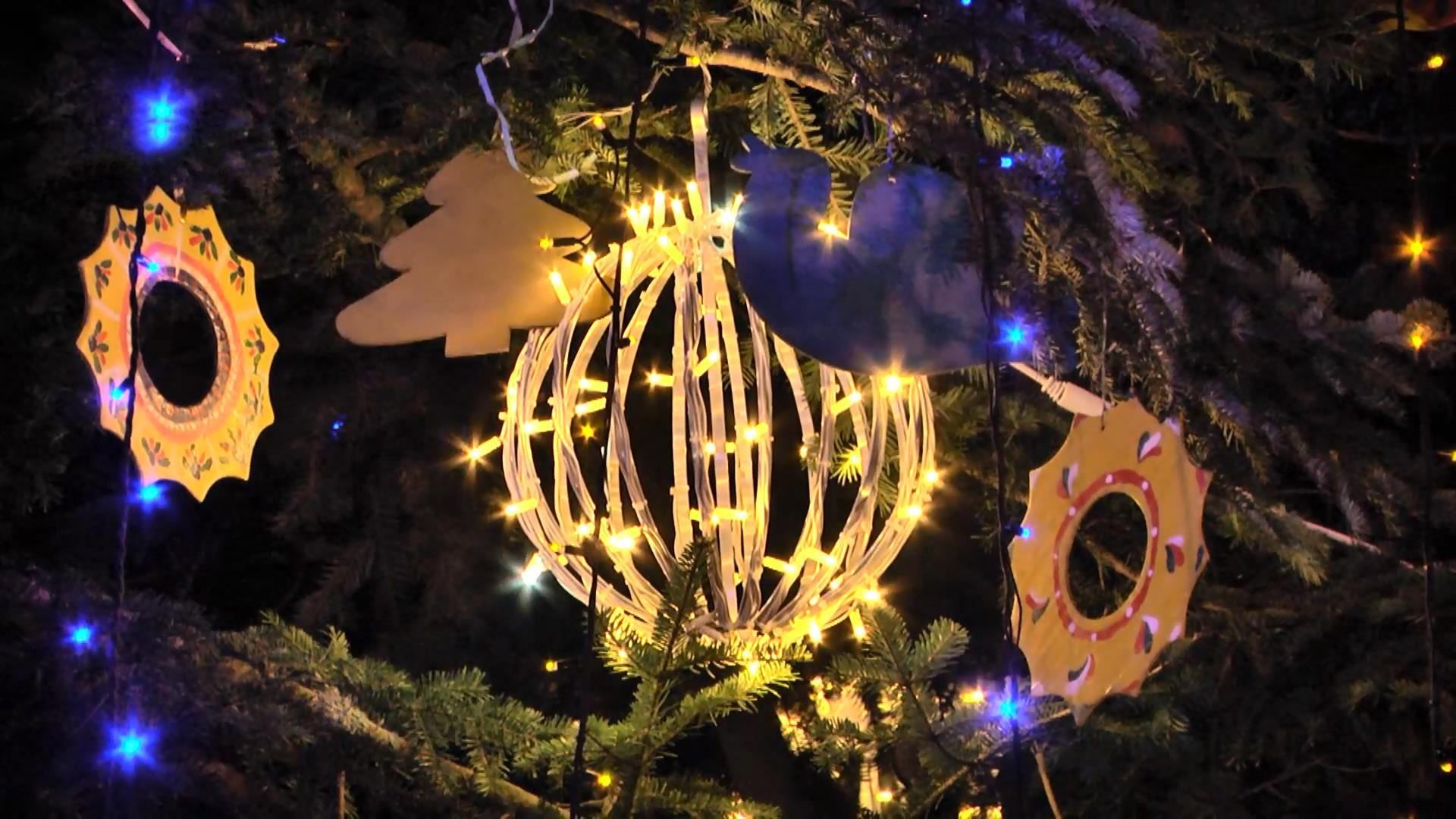 Головна новорічна красуня замайоріла у Львові: дивовижні фото