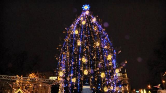 Где в Украине самая высокая елка: появился интересный рейтинг