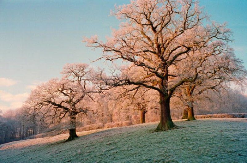 Синоптик розповіла, якою буде погода у вівторок Синоптик розповіла, якою буде погода у вівторок