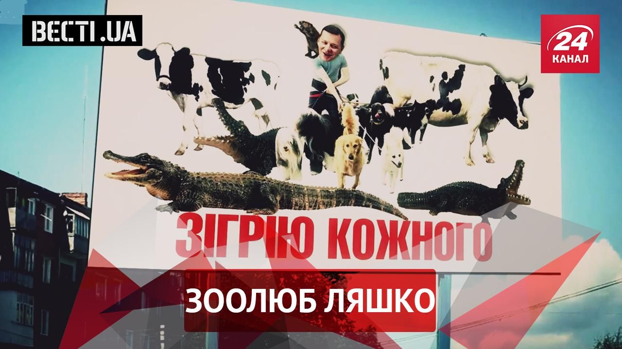 Вести.UA: Кошка Ляшко. Супергерой для Верховной Рады