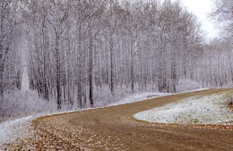 Синоптики рассказали, какой будет погода в конце недели Синоптики рассказали, какой будет погода в конце недели