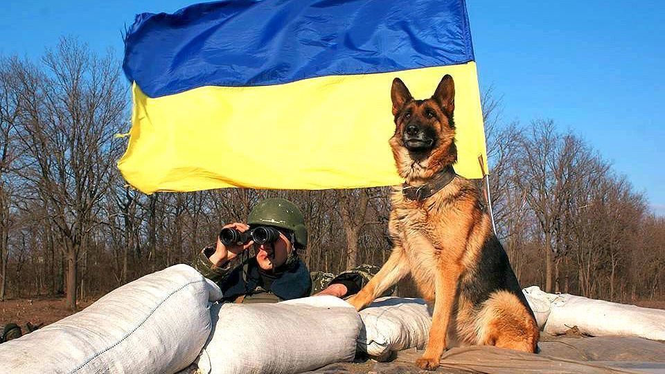 Біля звільненого Новолуганського ЗСУ встановили блокпост 