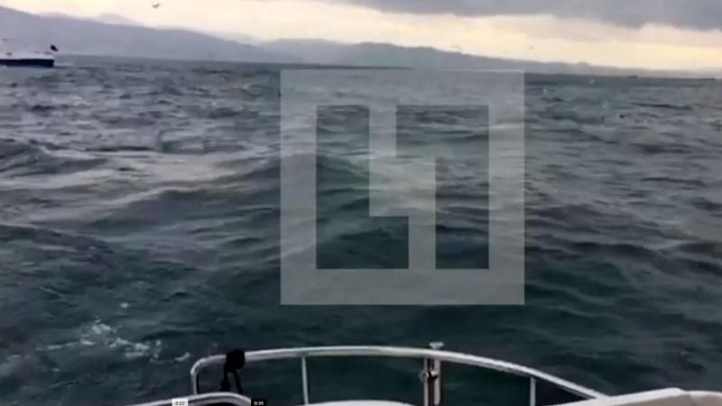 Российский телеканал опубликовал кадры с места падения самолета (видео 18+) Российский телеканал опубликовал кадры с места падения самолета (видео 18+)