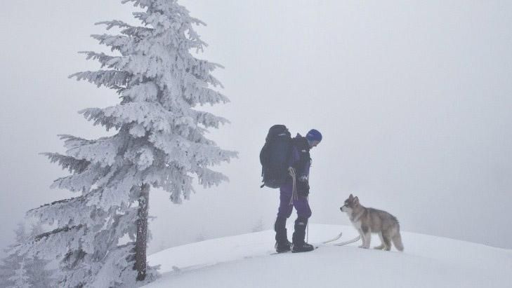 В украинских Карпатах потерялся турист В украинских Карпатах потерялся турист