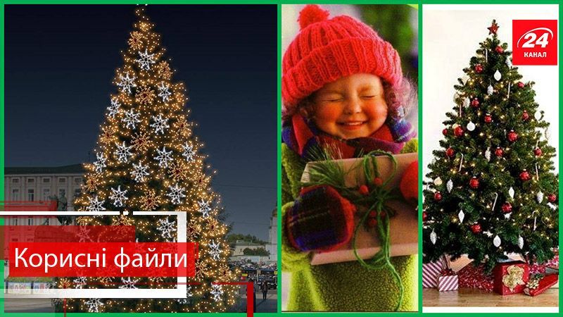 Корисні файли. Якій новорічній красуні надати перевагу – справжній або штучній