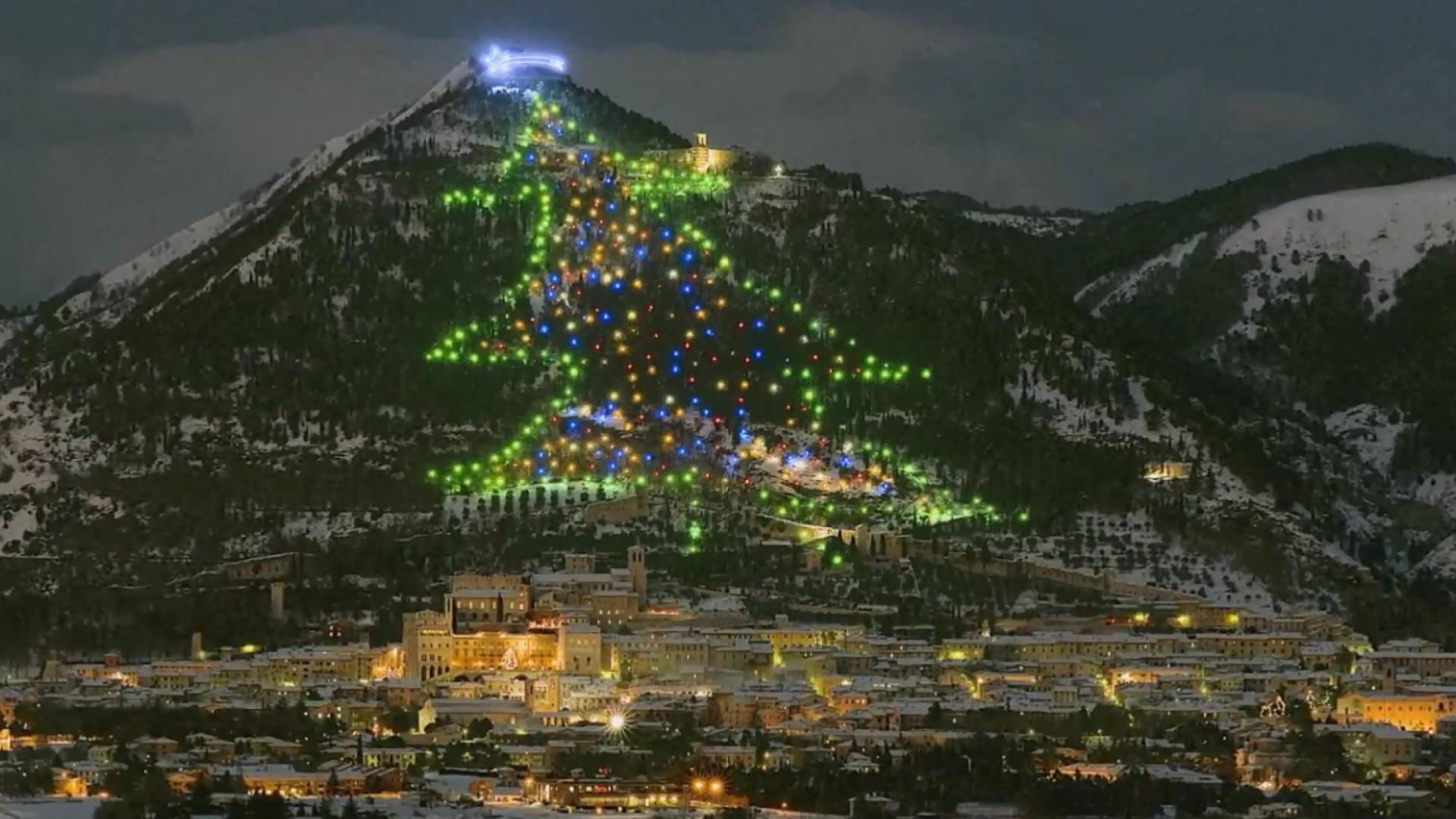 Італійці здивували світ незвичною ялинкою Італійці здивували світ незвичною ялинкою