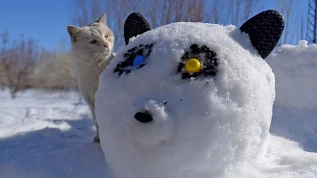 Синоптики назвали, какую погоду ждать до конца зимы Синоптики назвали, какую погоду ждать до конца зимы