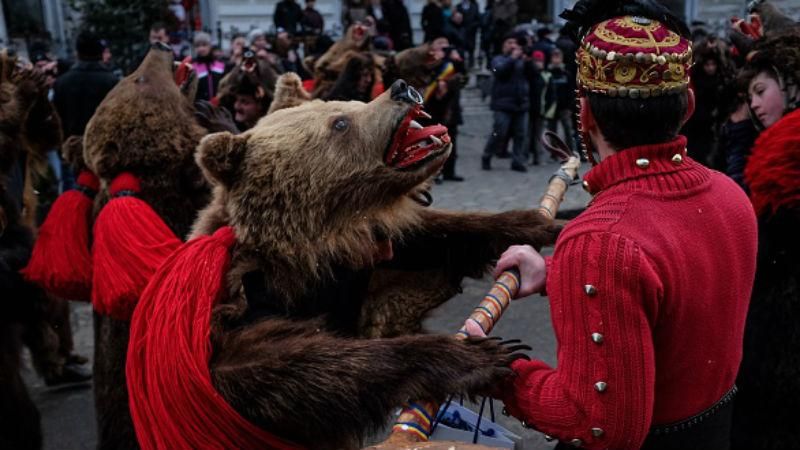 Моторошний парад ведмедів: як в Румунії проводжають 2016 рік