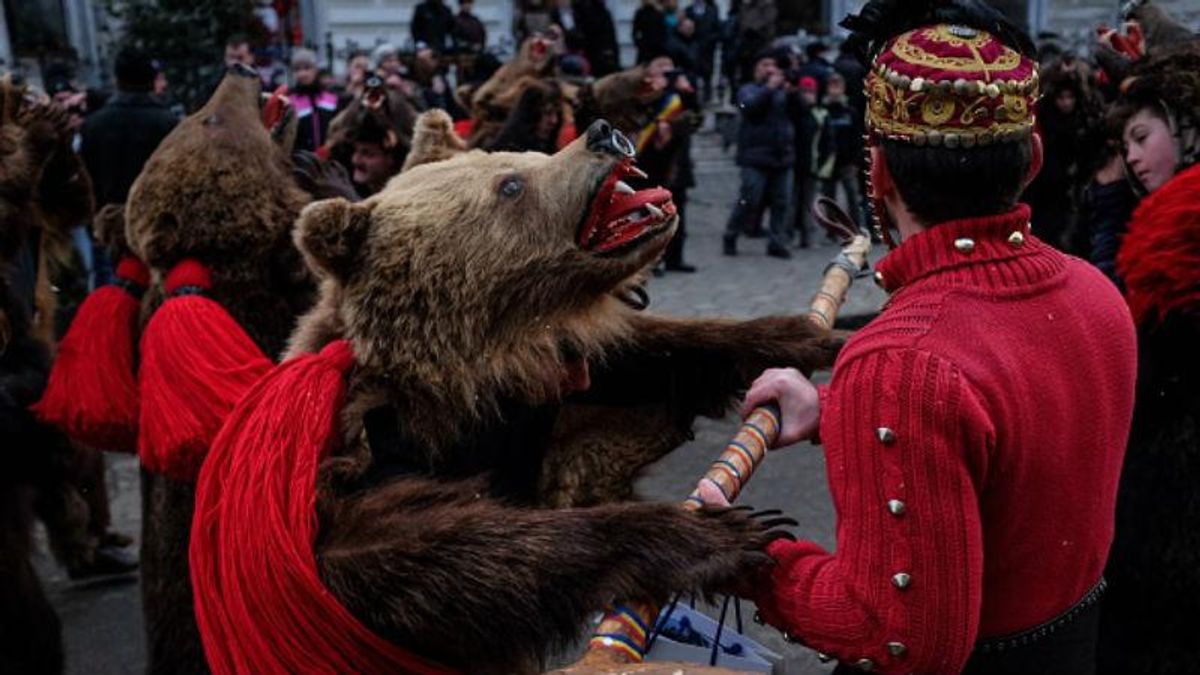 Dancing bear. Медвежьи танцы в Румынии. Медвежий парад. Парад медведей. Ряженые медведь.