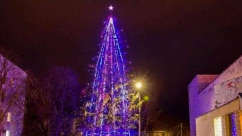 Как выглядит самая высокая живая новогодняя елка Украины: появились фото