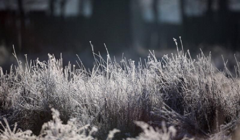 Погода у перший тиждень січня – на Святвечір різко похолодає Погода у перший тиждень січня – на Святвечір різко похолодає