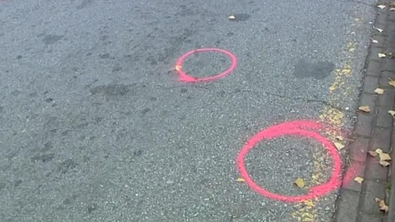 Невідомий відкрив стрілянину в Барселоні: є жертви Невідомий відкрив стрілянину в Барселоні: є жертви