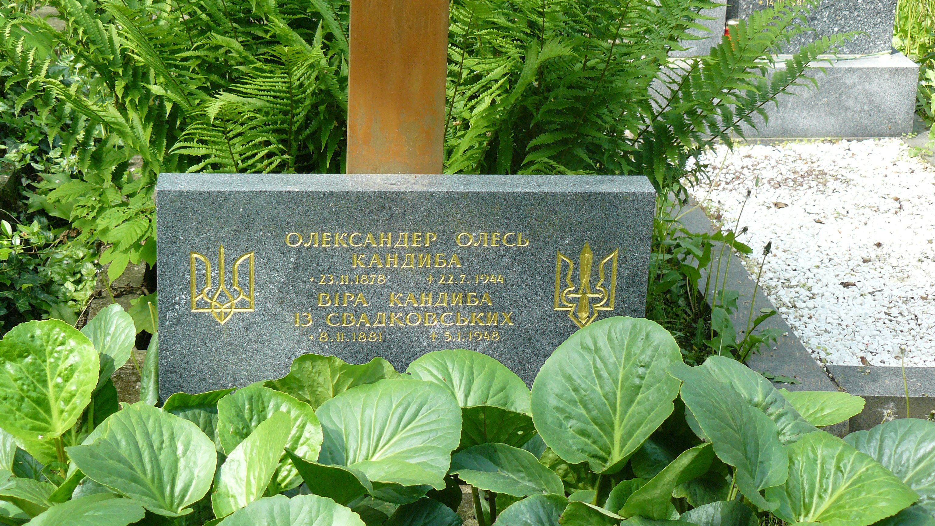 Скандал щодо перепоховання Олеся: з'явилась інформація, хто стане наступним 