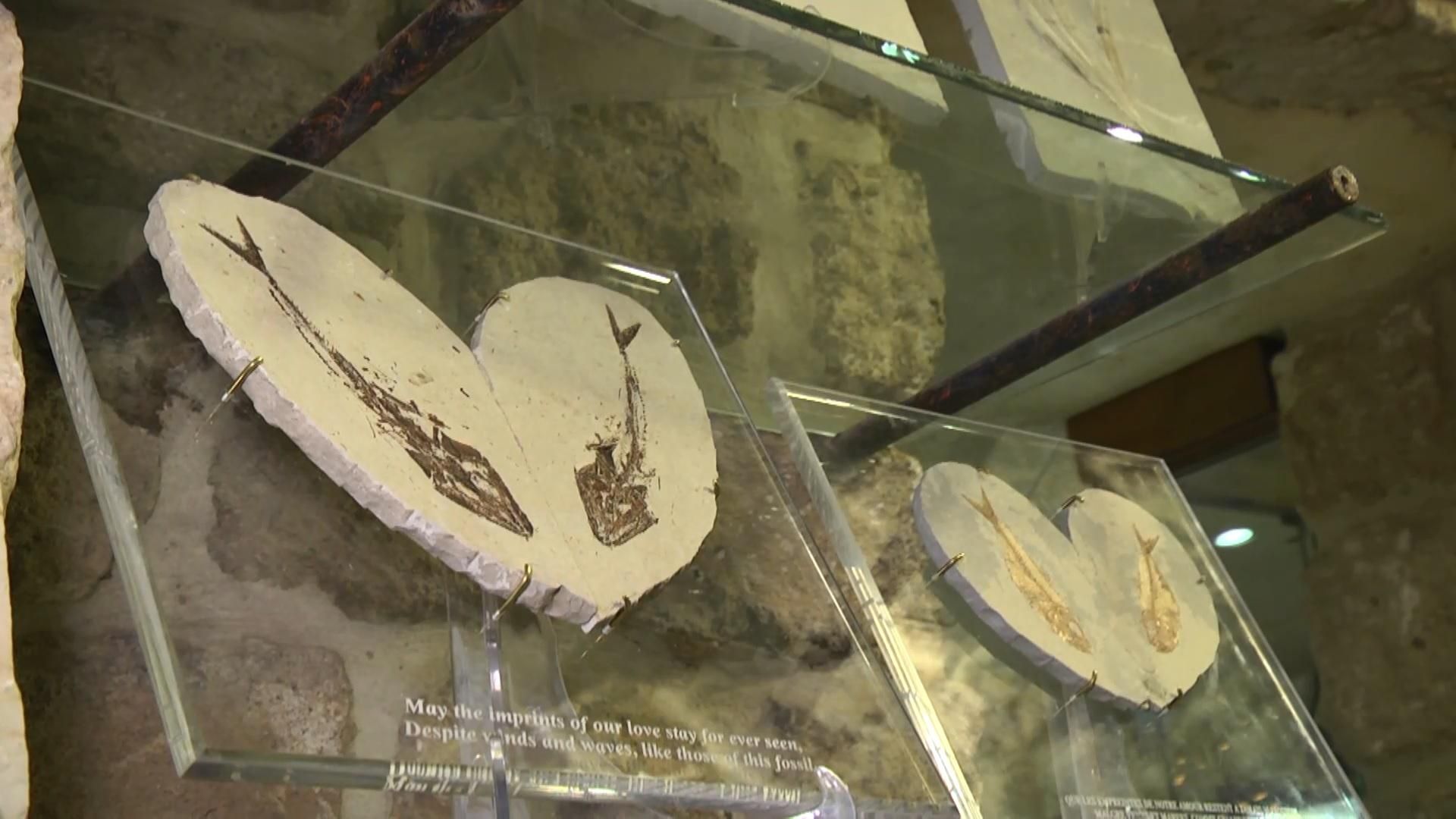 У Лівані можна купити унікальний сувенір, якому 100 мільйонів років