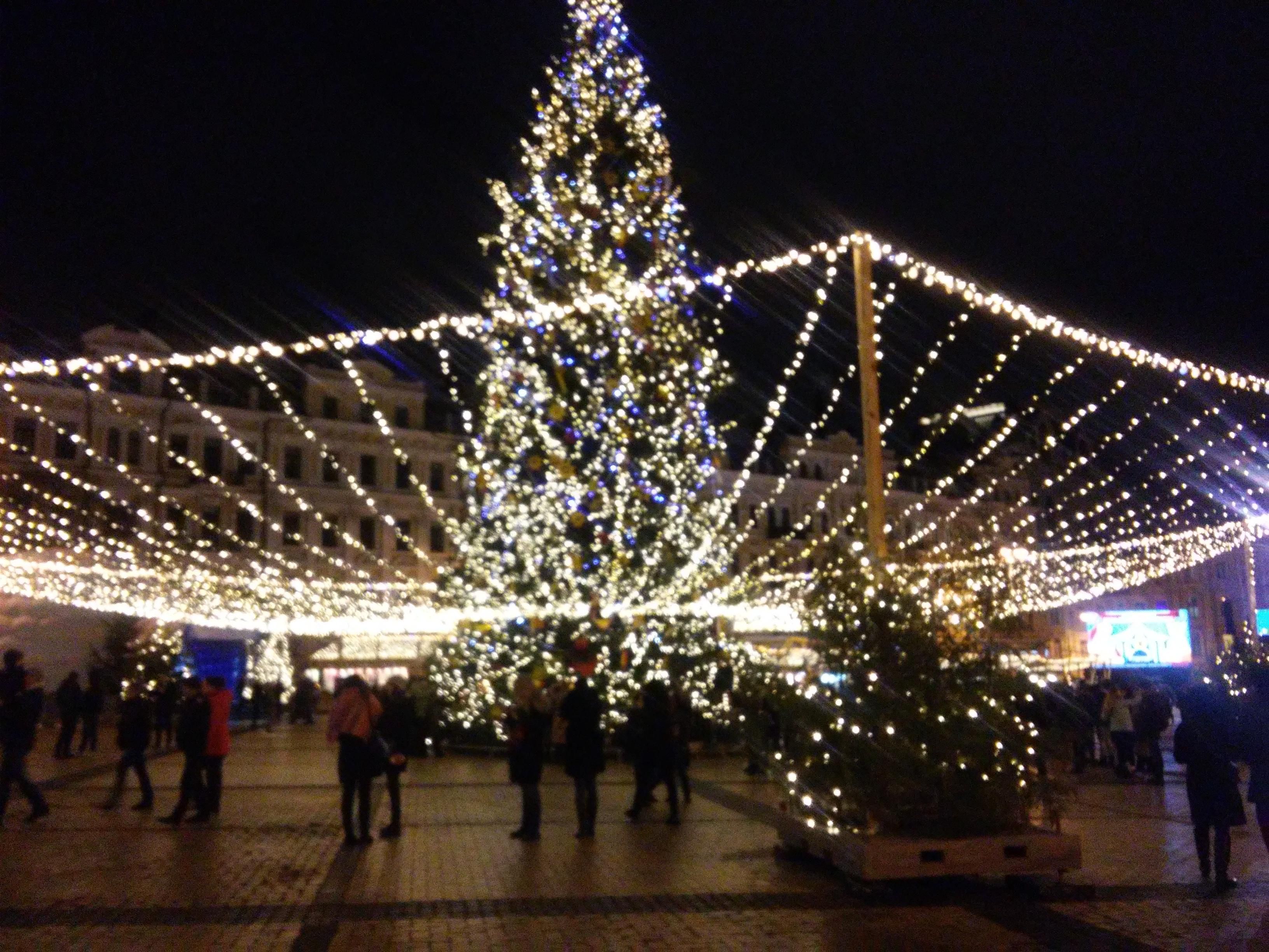 Цікавинки про ялинки: топ-7 українських новорічних красунь Цікавинки про ялинки: топ-7 українських новорічних красунь