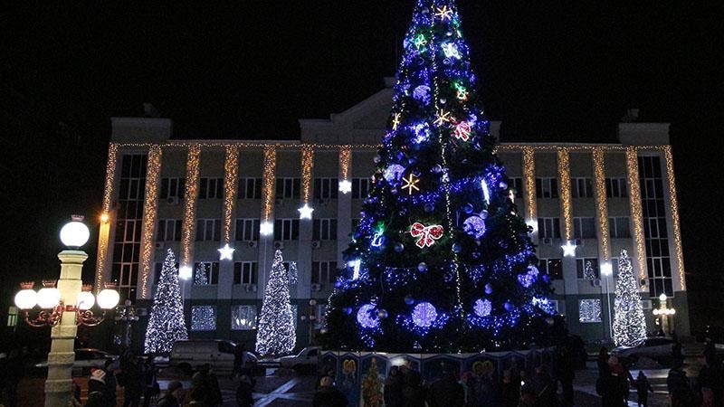 Журналісти показали найдорожчу ялинку в Україні