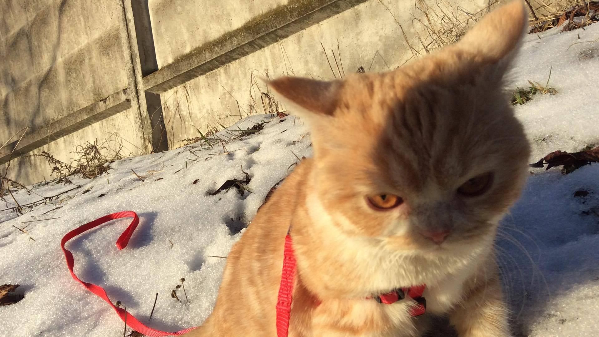 Синоптики озвучили неутешительные прогнозы погоды в Украине на ближайшие дни Синоптики озвучили неутешительные прогнозы погоды в Украине на ближайшие дни