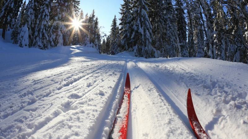 "Дякуємо за неприбрані дороги": люди їздять по Києву на лижах і сноубордах