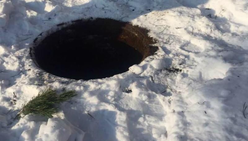 Як собака врятував життя дівчинці, яка провалилася у каналізацію
Як собака врятував життя дівчинці, яка провалилася у каналізацію