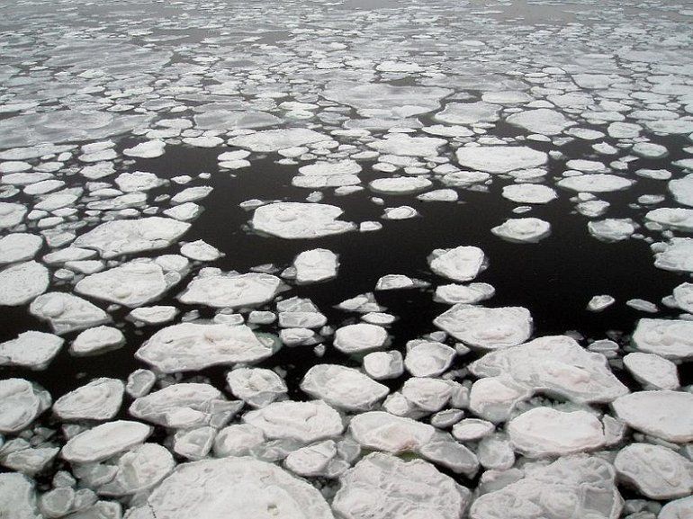 Как замерзает Дунай: опубликовано впечатляющее видео Как замерзает Дунай: опубликовано впечатляющее видео