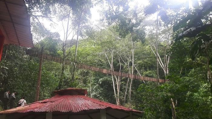 Підвісний міст обірвався з шаленої висоти, серед загиблих є діти Підвісний міст обірвався з шаленої висоти, серед загиблих є діти