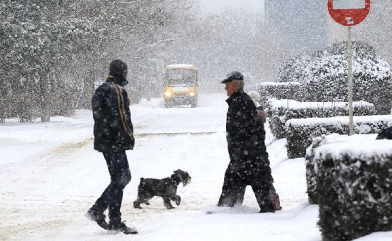 Непогода не отступает из Украины: где ждать сильного ветра и метели