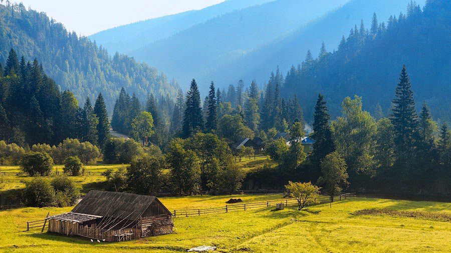 За збереження українських лісів може взятися ЮНЕСКО За збереження українських лісів може взятися ЮНЕСКО