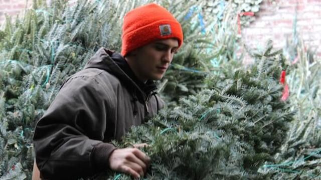 Куда сдать сухую новогоднюю елку: пункты приема в Киеве